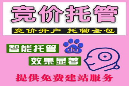 sem账户托管案例：从零到一的营销增长之路
